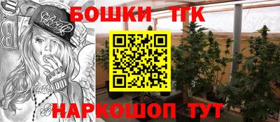 прущие грибы Нальчик