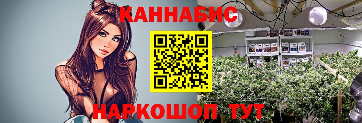 Конопля Ganja Холмск